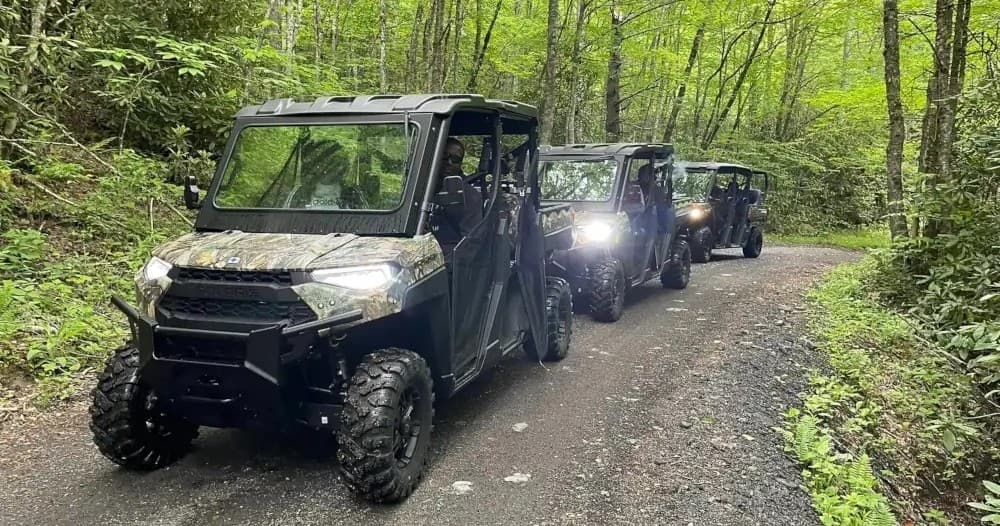 Scenic Tours and Adventures team