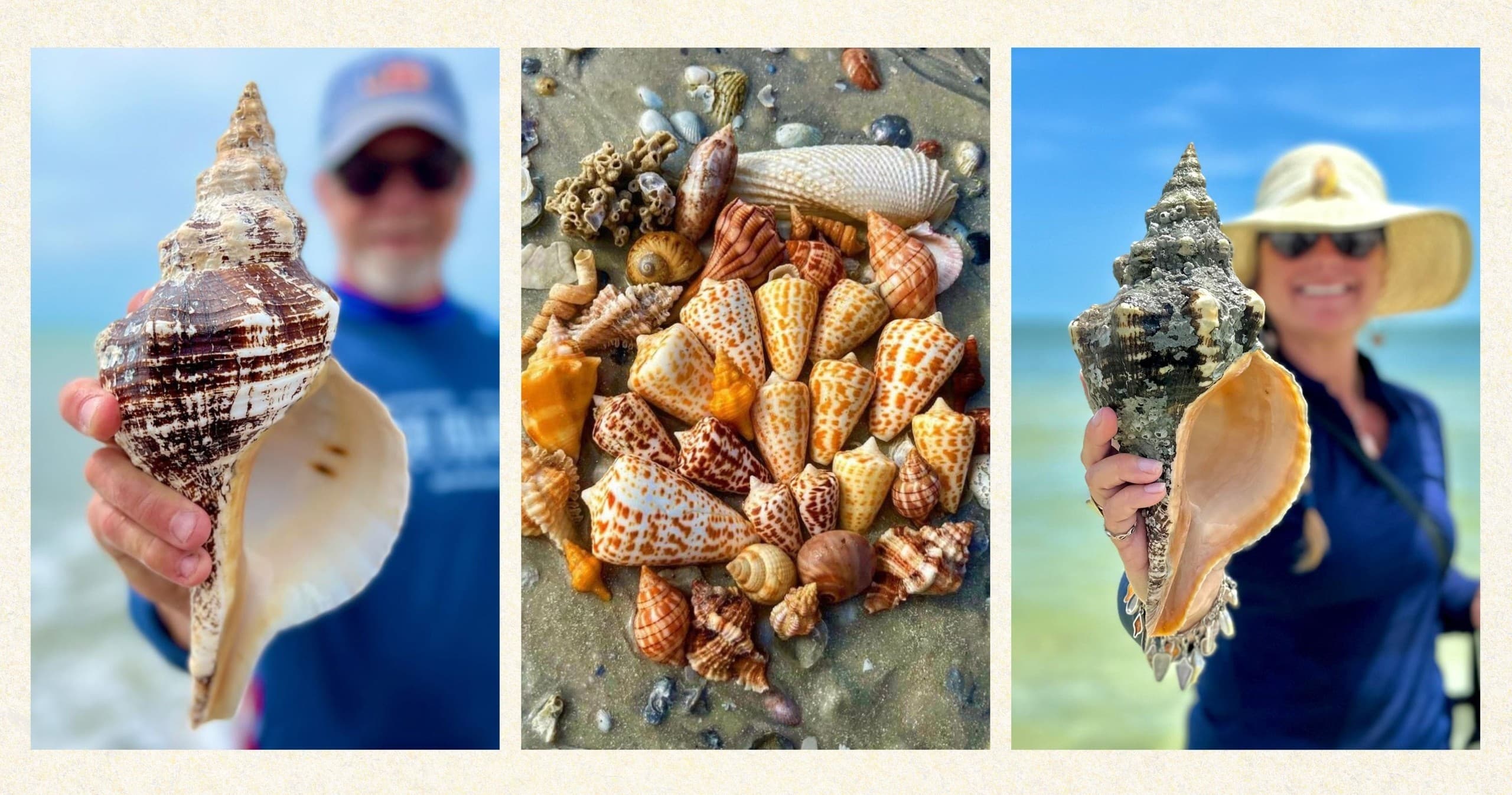 Shelling Adventure with Everwater Charters in Goodland, FL