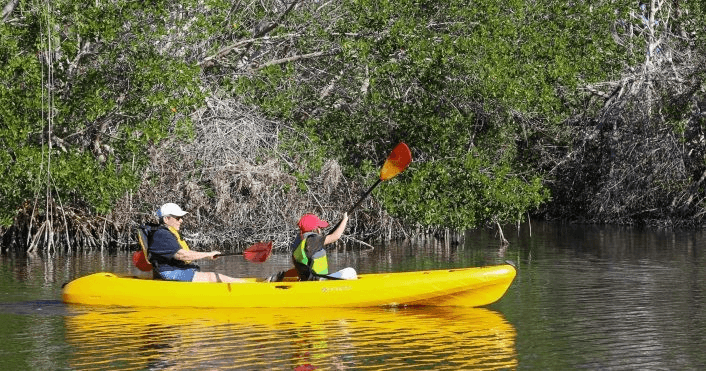 Kayak Rentals in Everglades City by Everglades Florida Adventures