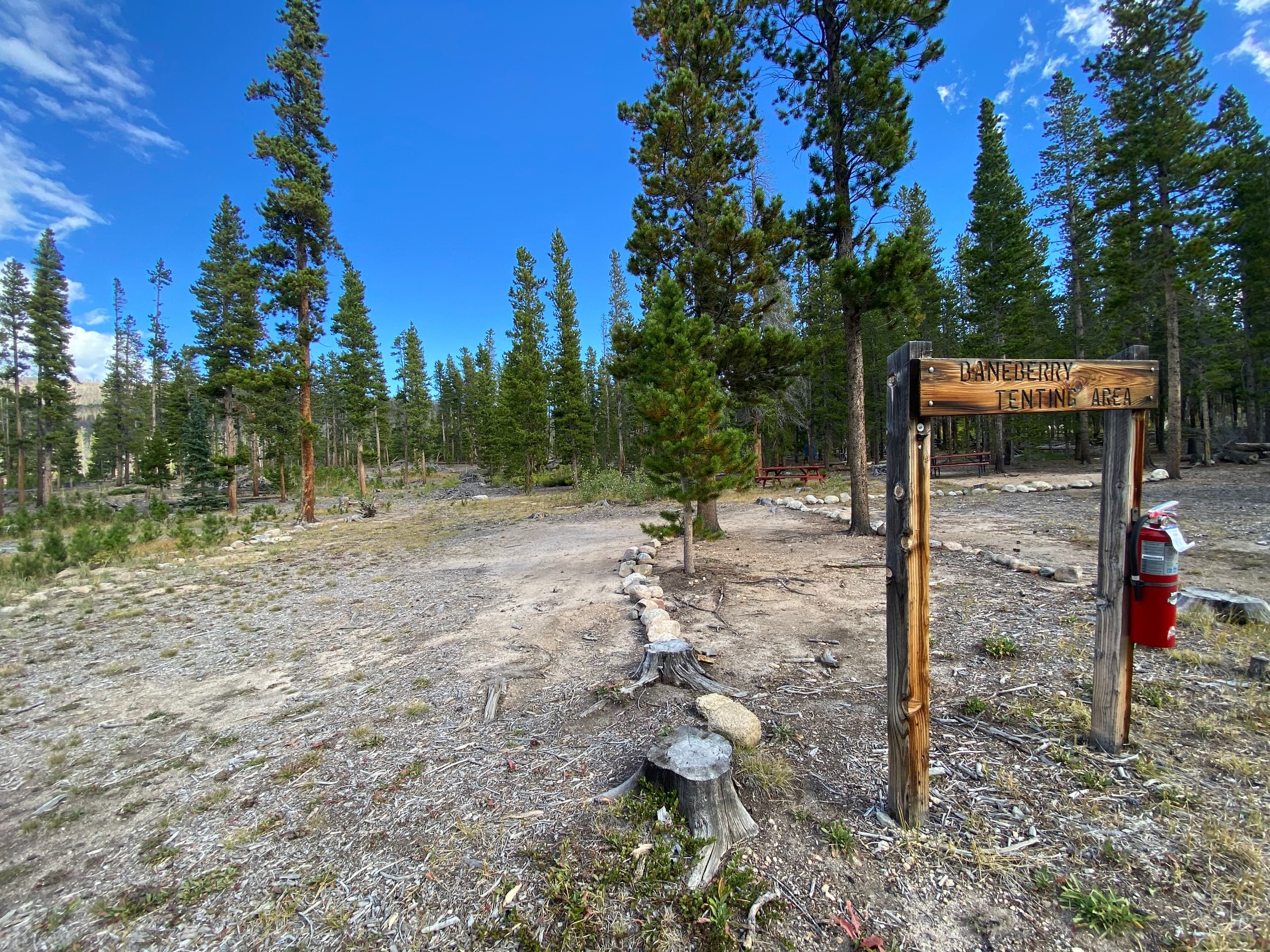Baneberry Tent Camping Adventure in Bellvue, Colorado