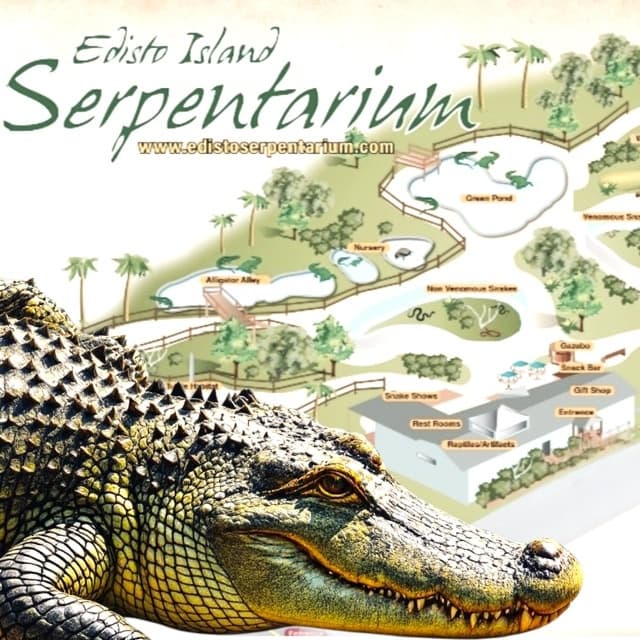 Edisto Island Serpentarium — South Carolina Native Reptile Experience