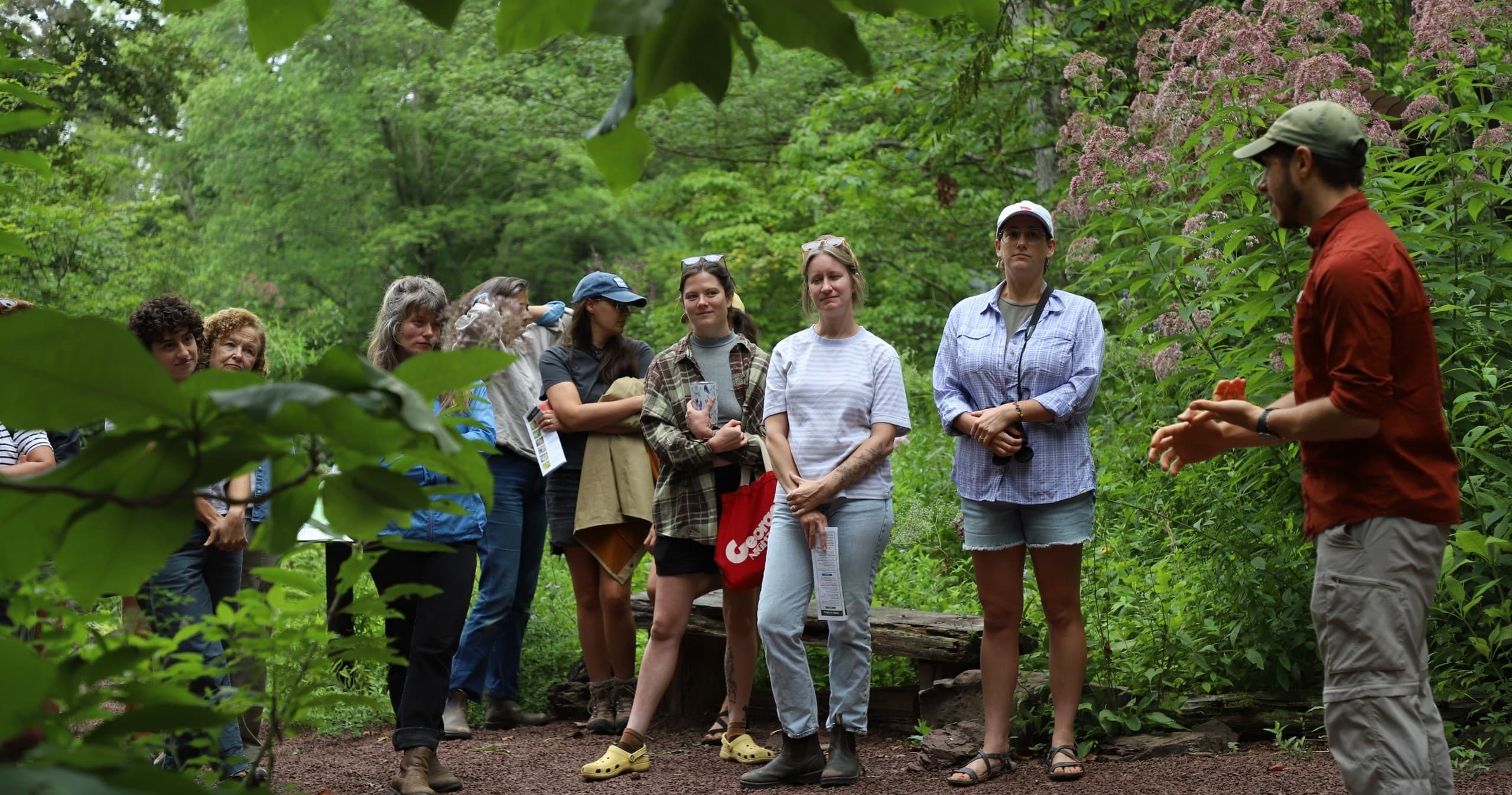 Guided Wildflower Walks at Bowman's Hill: Discover Pennsylvania's Native Plants photo 3