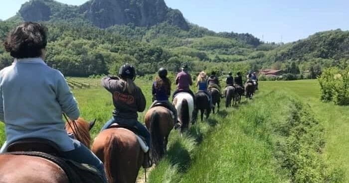 Horseback Riding Adventure in Euganean Hills for Nature Lovers