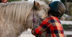 Private Pony Encounter Adventure in Buellton, California