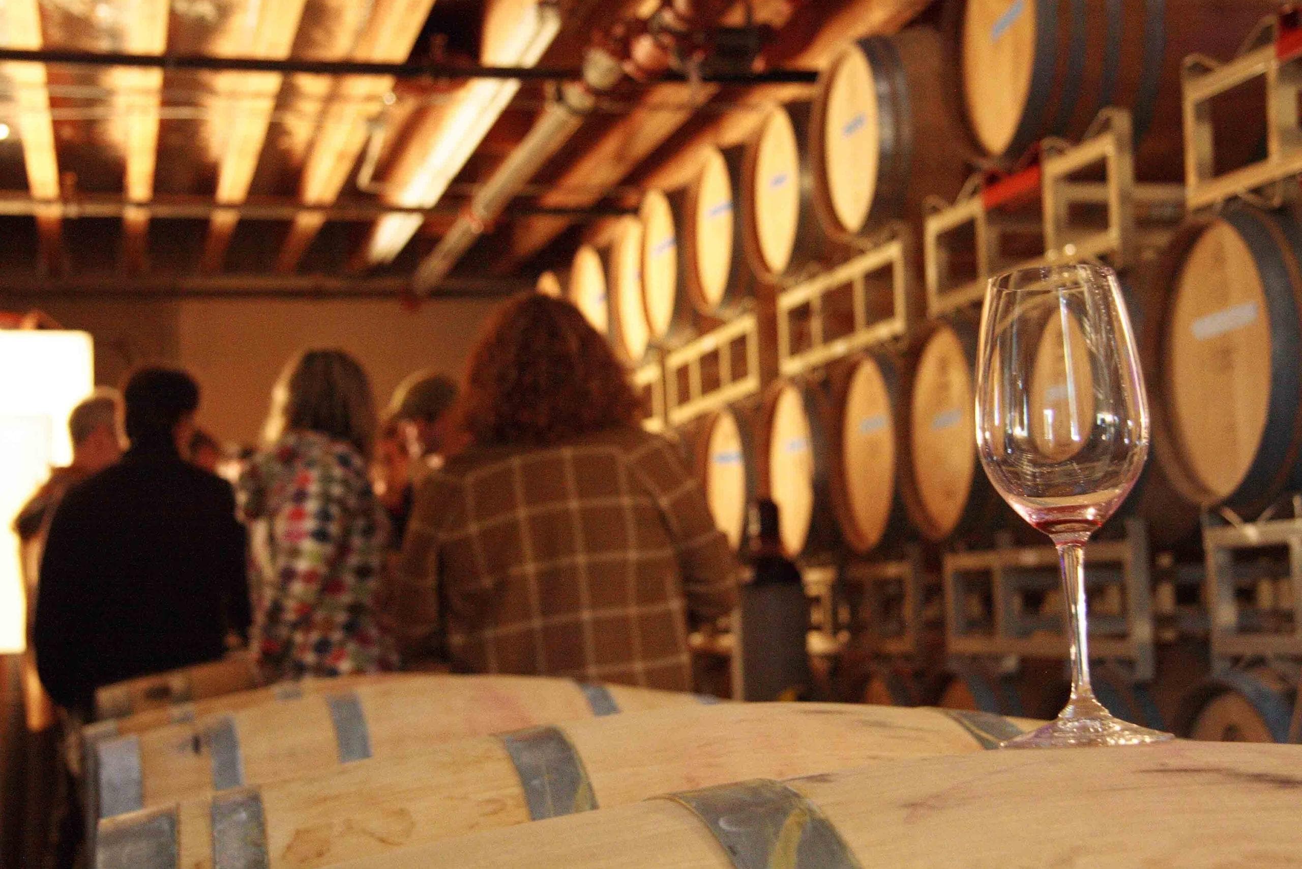 Outdoor Adventure with Evergreen Escapes: Mt. Rainier & Yakima Valley Wine Tasting