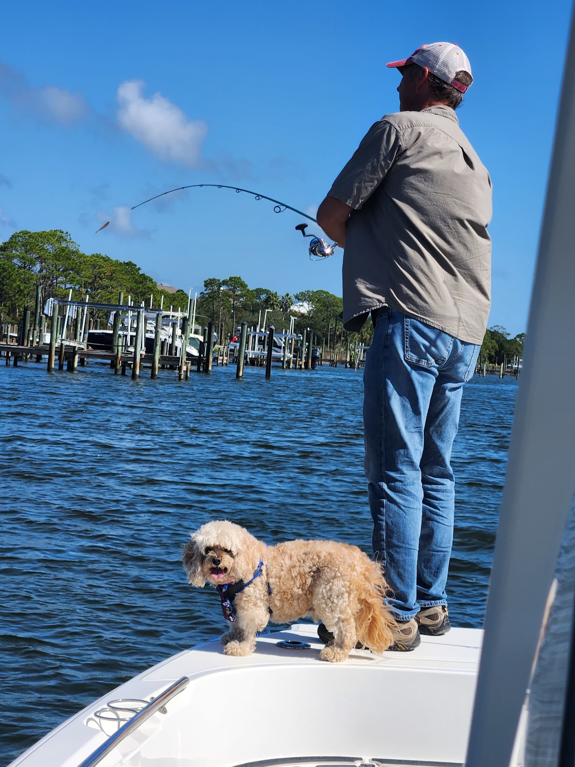 Sea Chelles Leisure Cruises: Private Sandbar & Sunset Cruises in Orange Beach photo 1