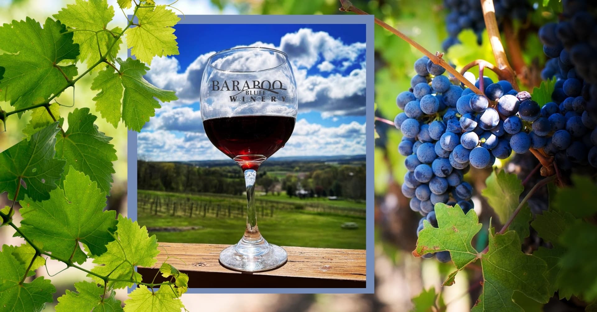 Baraboo Bluff Winery fleet