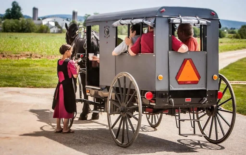 Country & Cookie Tour | Sightseeing Tour in Bird in Hand | Guided Tour, History Tour, Attraction, Farm