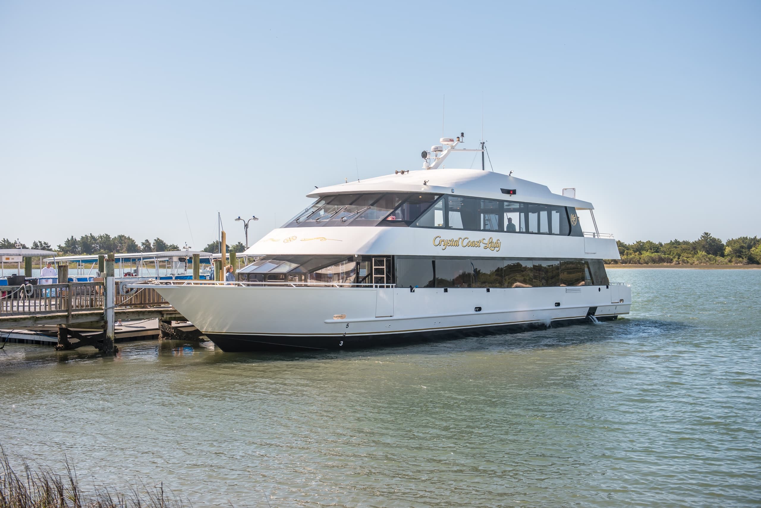 Large passenger cruise vessel moored at regional waterfront