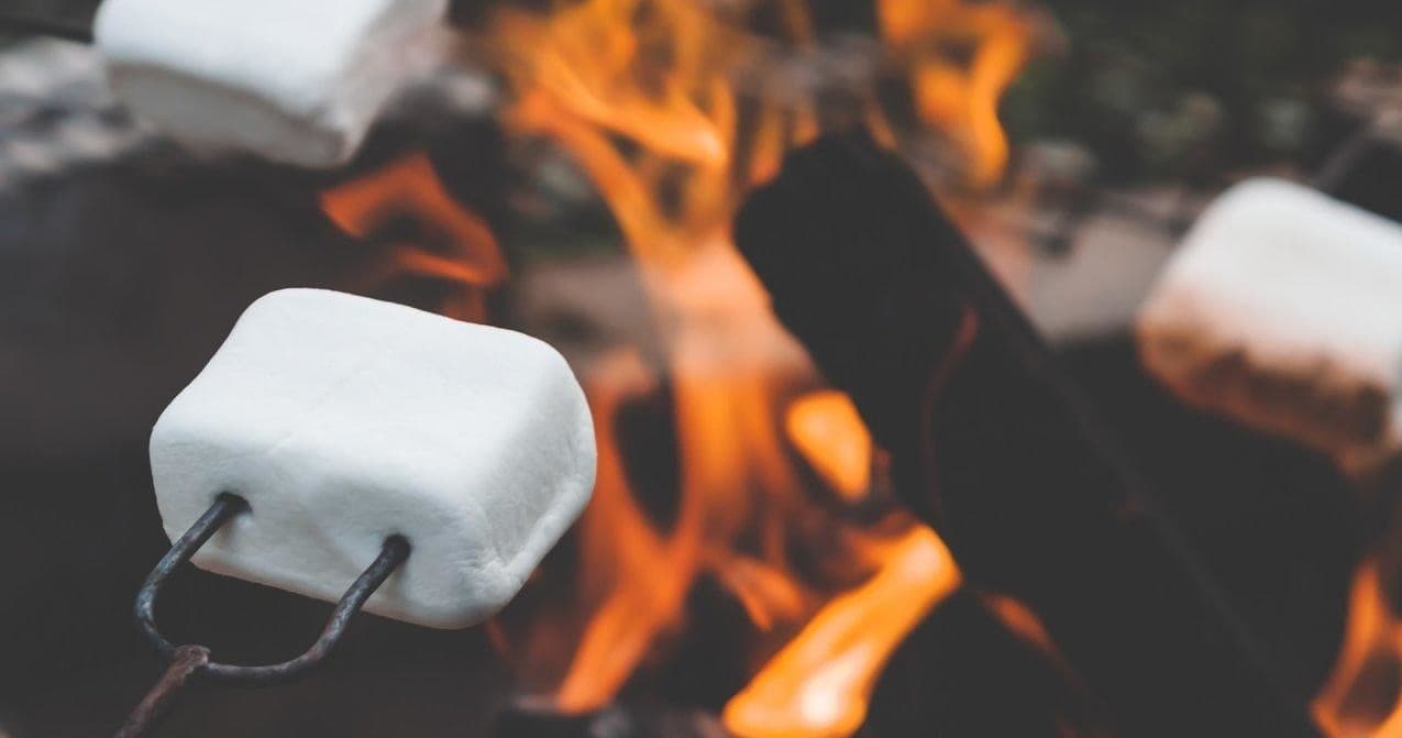 Roasting marshmallows over campfire at outdoor campsite