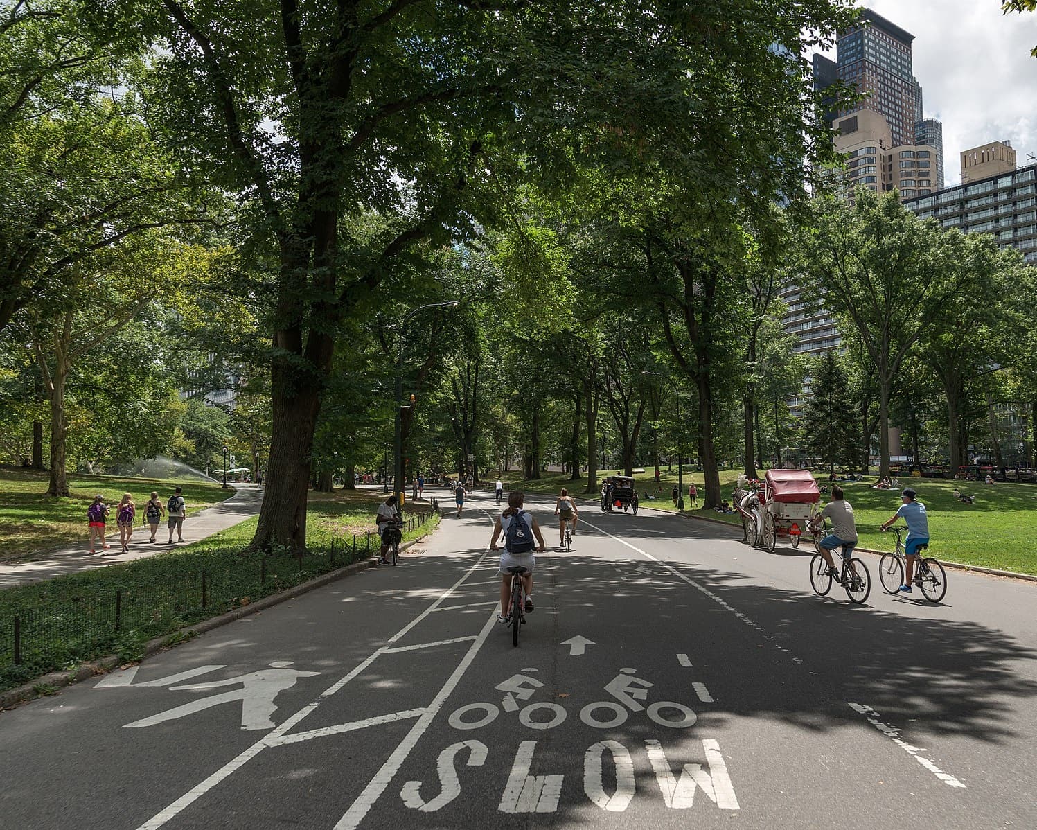 Cyclists riding along Central Park bike lane on sunny day