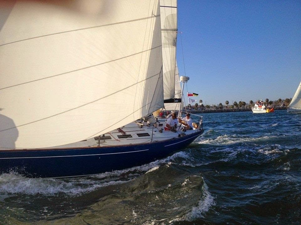 San Diego Bay Duffy Cruise: Private 3-Hour Sea Lion and Point Loma Lighthouse Tour