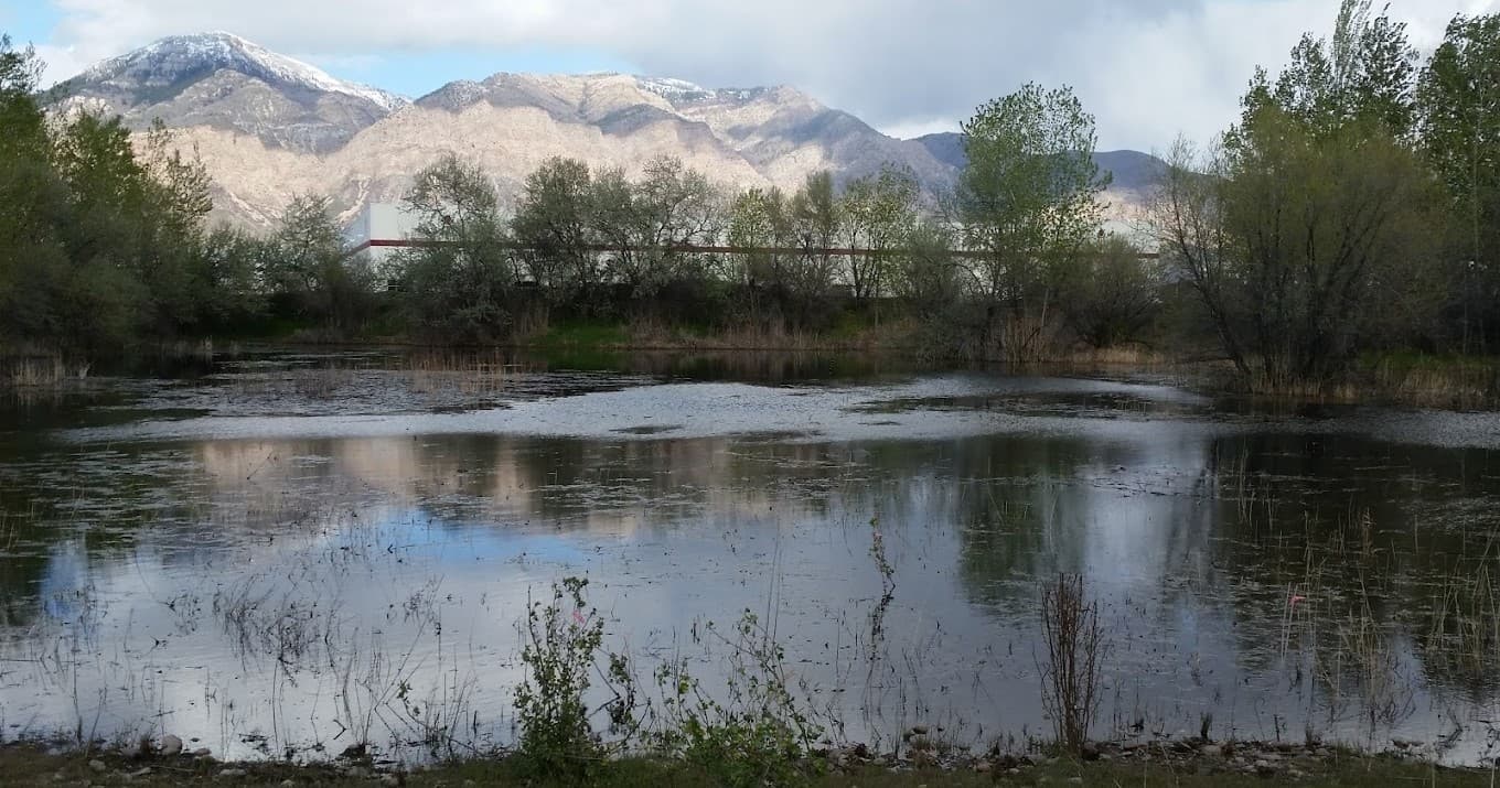 Explore Utah’s Diverse Ecosystems: An Engaging 2-Hour Learning Adventure in Ogden