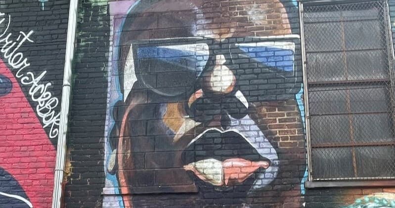 Street Art & Graffiti Tour with Per Le Strade Di New York in Brooklyn