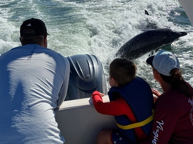 Anna Maria Island Dolphin Tours: Intimate Wildlife Cruises from Holmes Beach photo 2