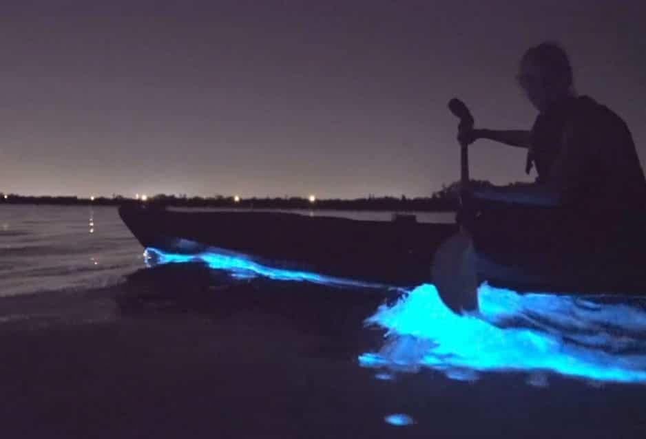 Bioluminescence Kayak