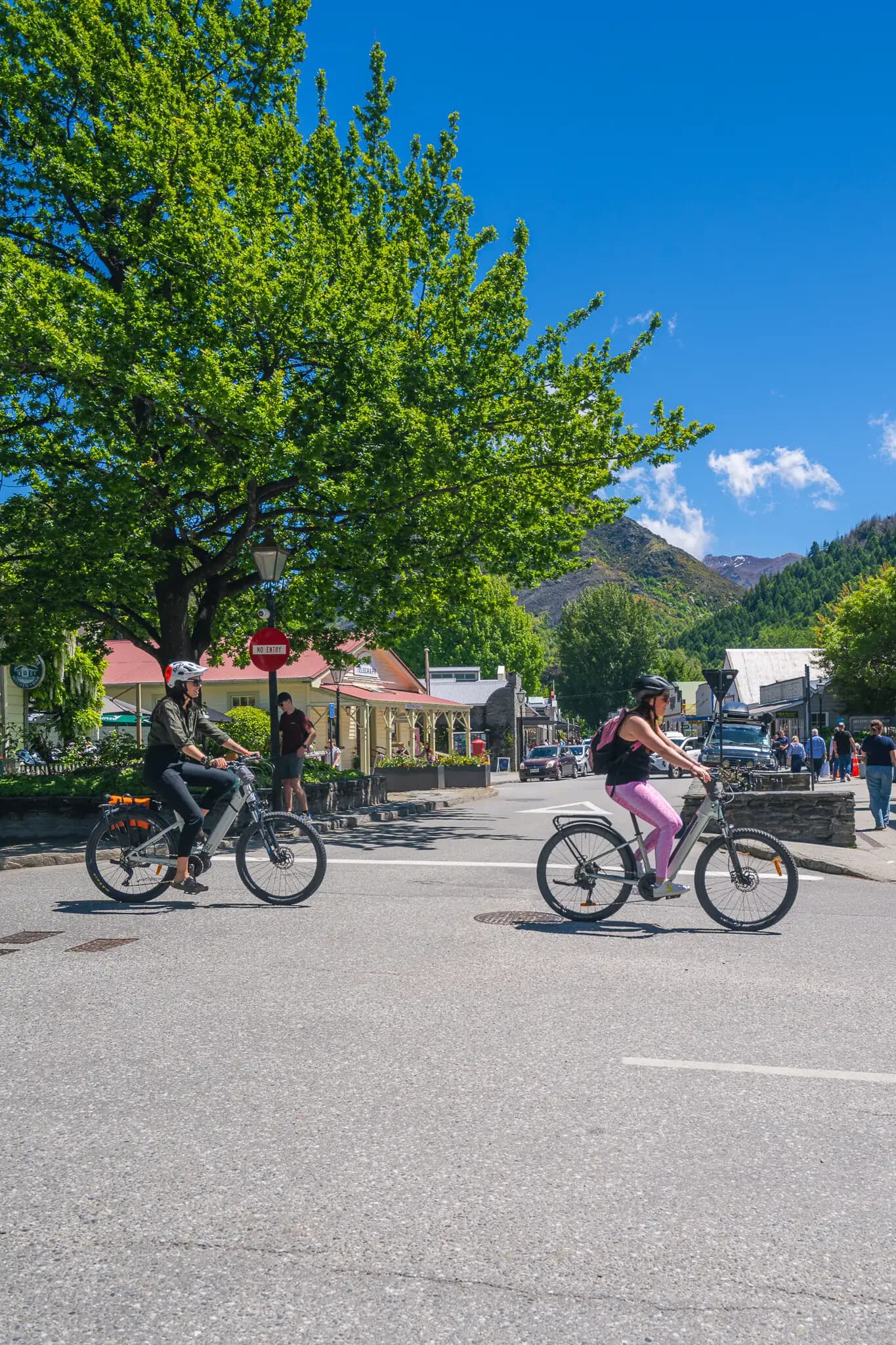 Cycle Queenstown to the Wineries: Arrowtown Trails & Gibbston Wine Tasting
