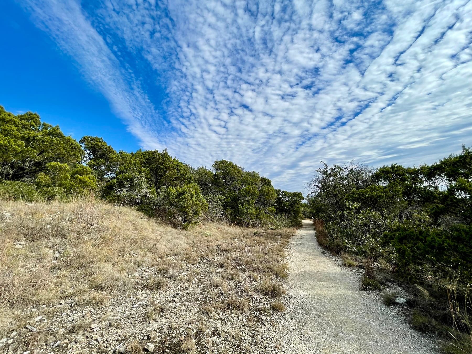 Explore Wild Basin Wilderness Preserve in Austin, TX