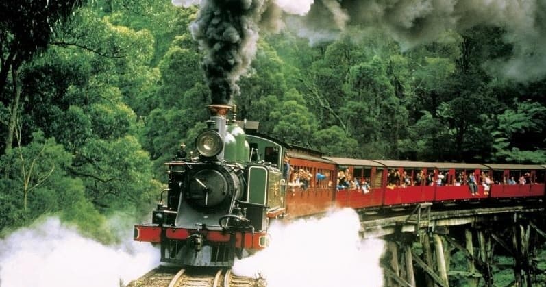 Wildlife & Heritage Tour with Sunshine Travel Australia