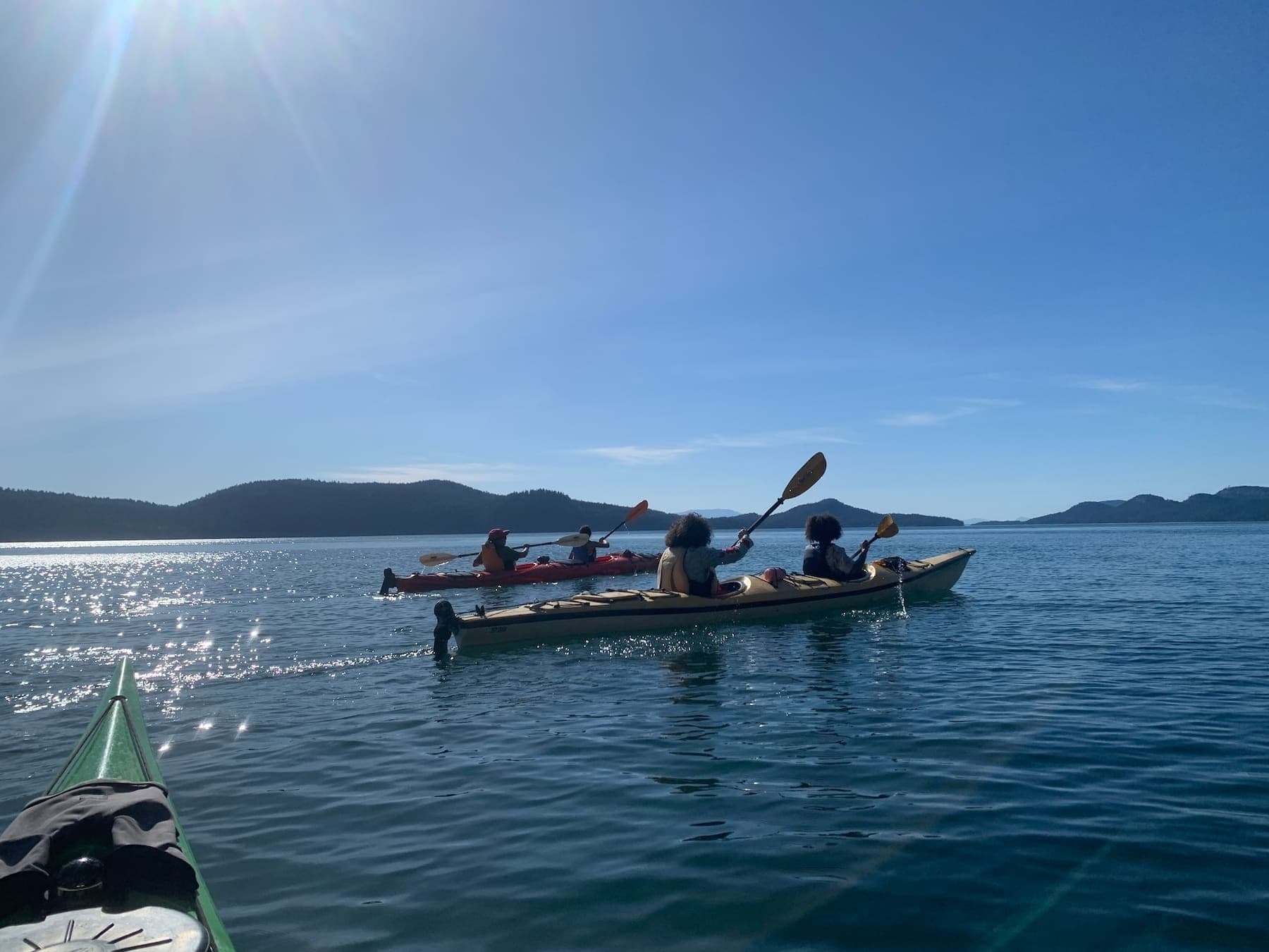 Saturna Island Sea Kayak: 90-Minute Wildlife Paddle from Lyall Harbour photo 1