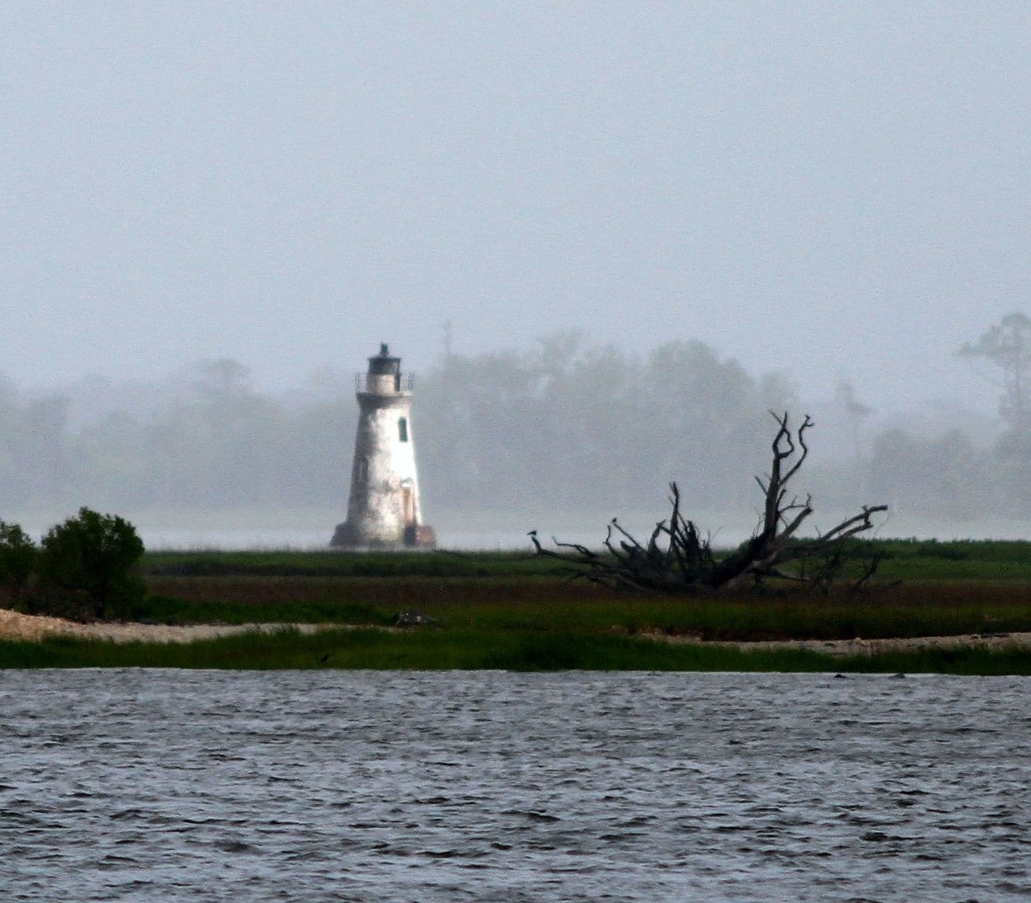 Savannah by Water: Private Indigo Island Charters from Thunderbolt photo 2