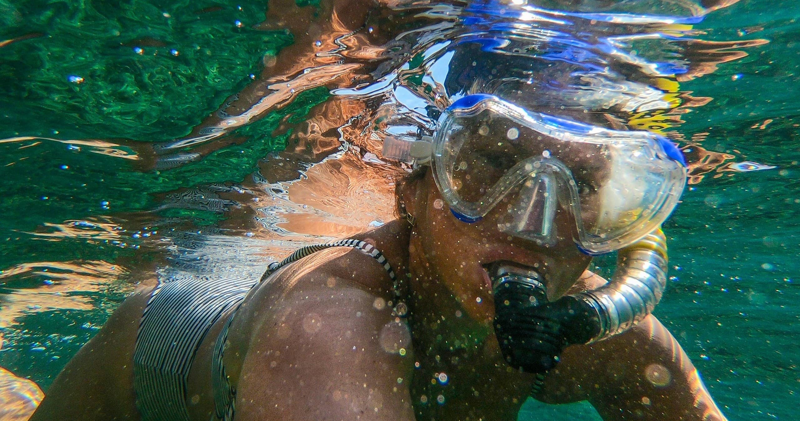 Angler 4 Hour Snorkel Excursion in Stock Island, FL