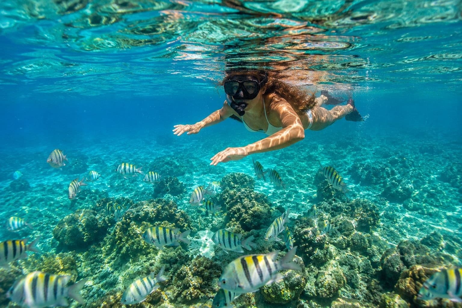 Rincón Snorkel & Sightseeing Boat Tour: Lighthouse Views, Domes Beach & Tres Palmas Reef photo 1