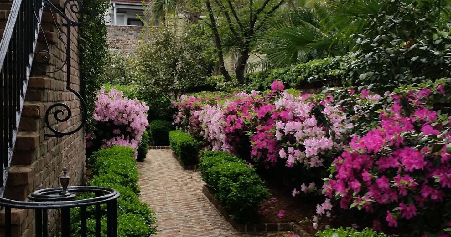 Historic House & Garden Tour with Exclusively Charleston