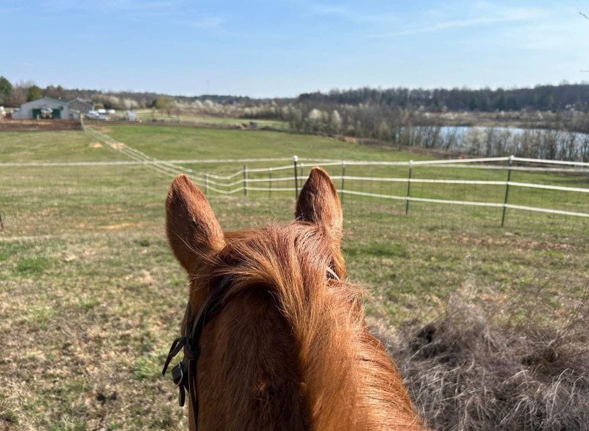 One-Hour Arena Rentals at Velpen (Wickham Ranch) — Indoor & Outdoor Horse Riding