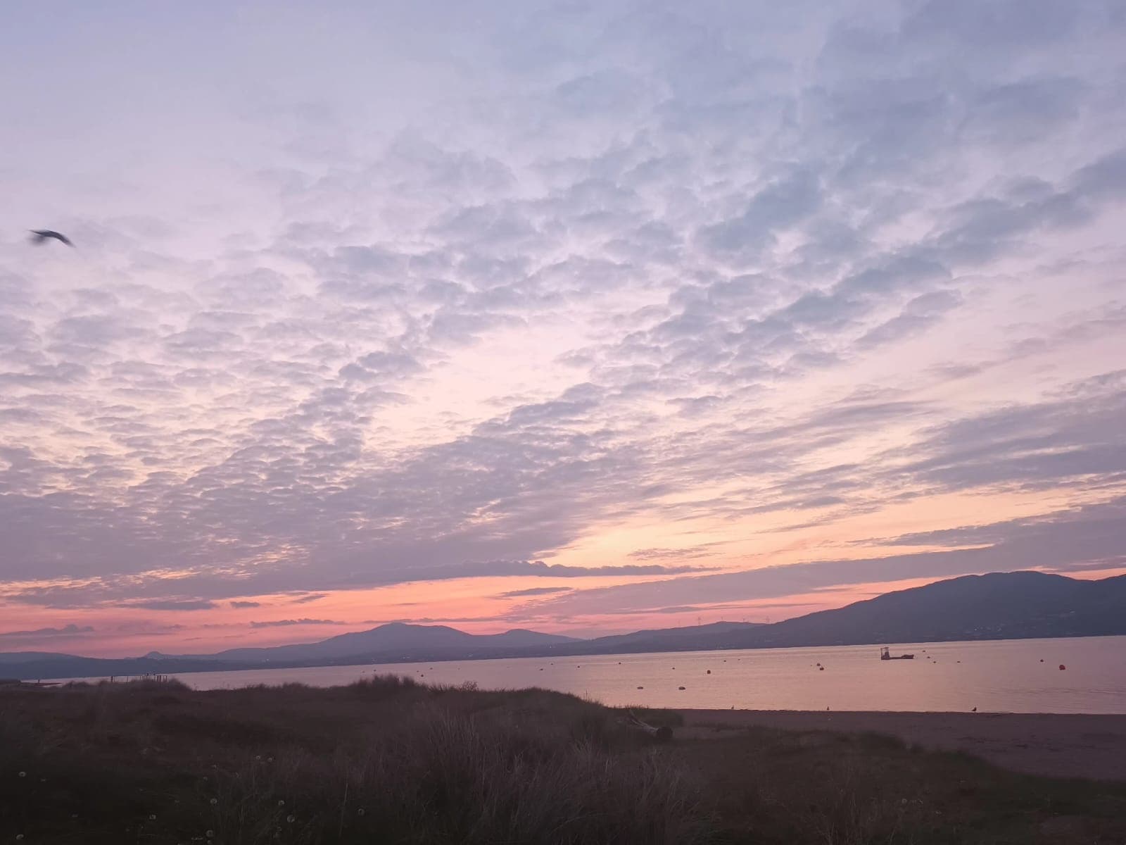 Kayak to Inch Island: 3-Hour Paddle & Picnic on Lough Swilly photo 3