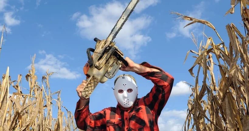 Masked figure holding chainsaw in cornfield during horror maze event