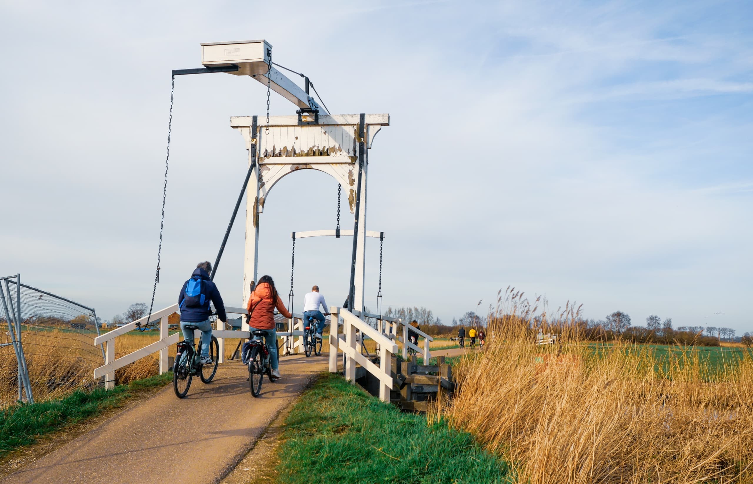 Dutch Countryside E-Bike Tour with Mike's Bike Tours Amsterdam