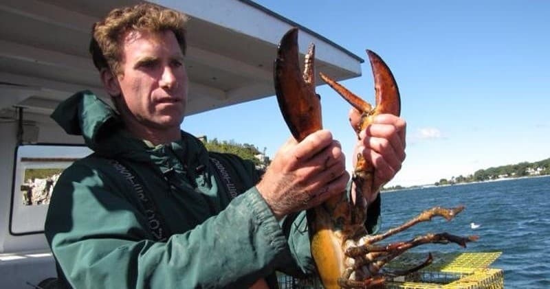Lobstering & Lobster Rolls Adventure in Portland, Maine