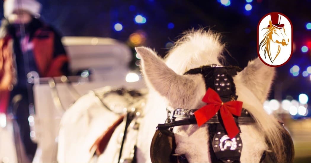 Close-up white horse head with festive harness on NYC carriage