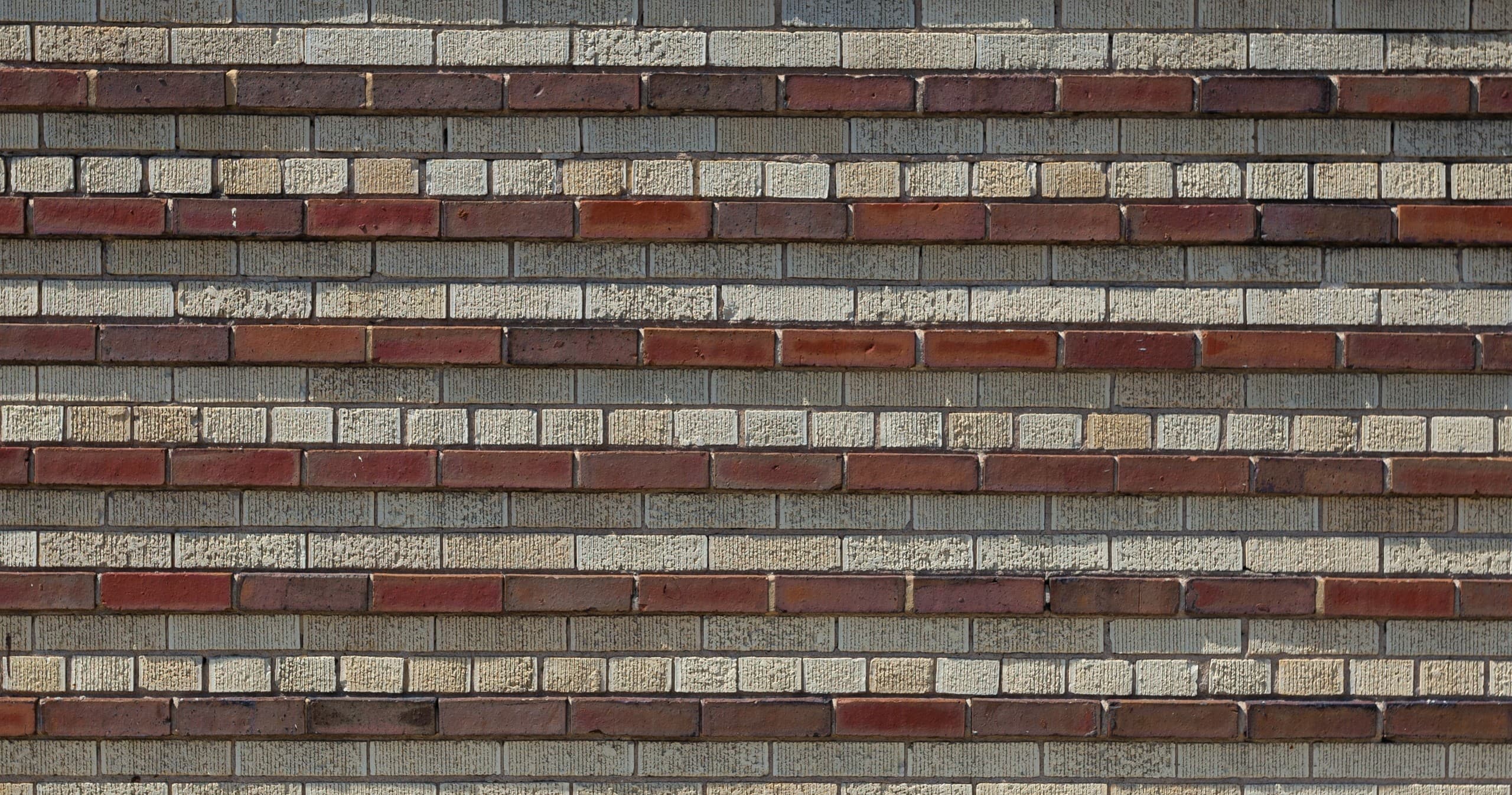 Historical Walking Tour of Bronzeville with Brick of Chicago