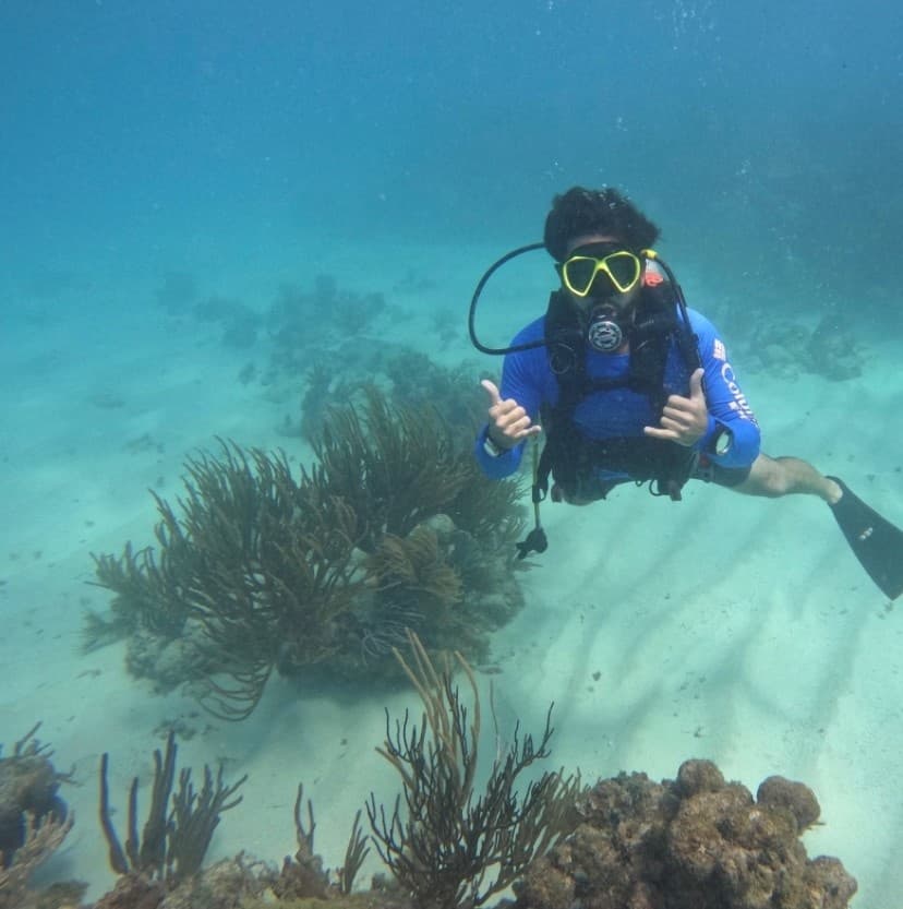 Scuba diver posing underwater near coral reef in clear shallow sea