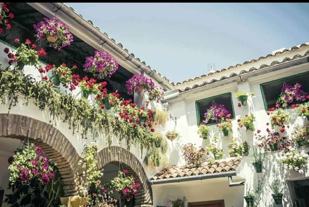 Guided Walking Tour of Córdoba's Patios