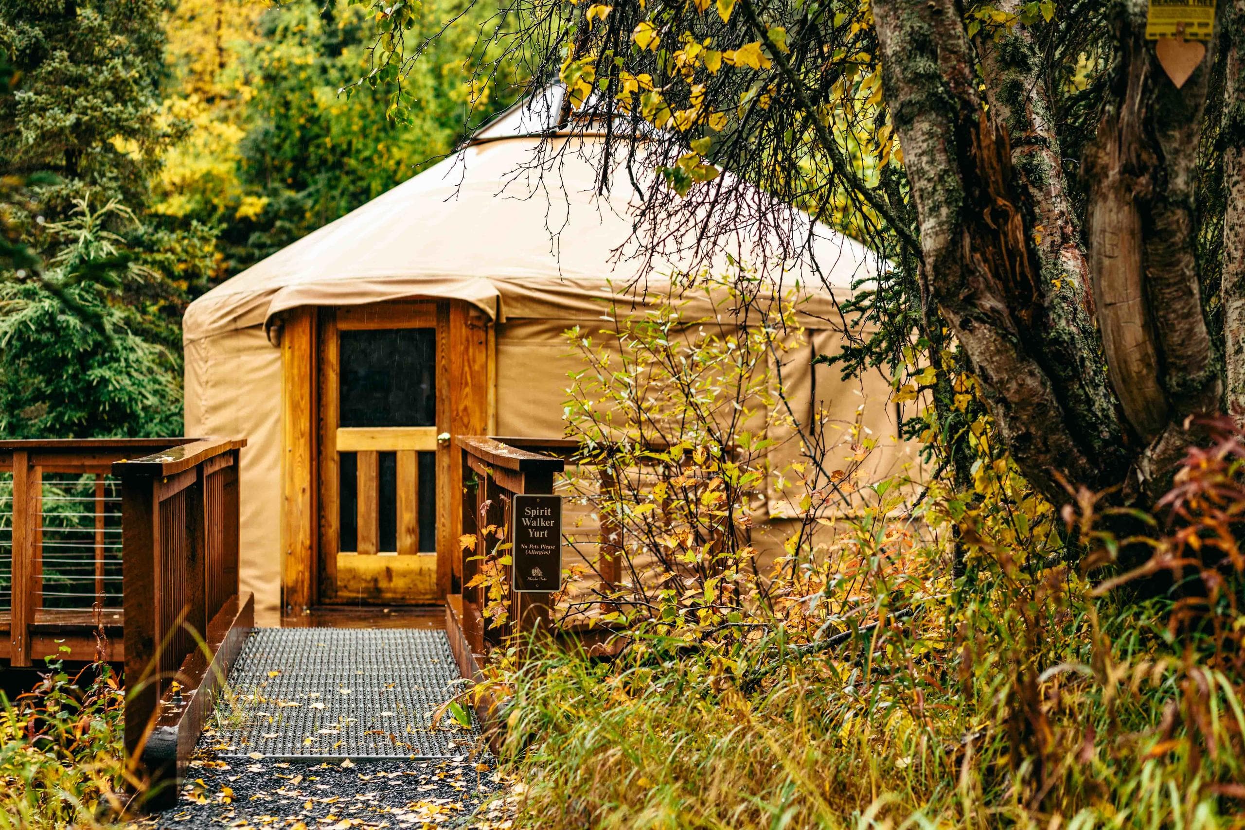 Wildlife & Wilderness Stay with Alaska Huts Association