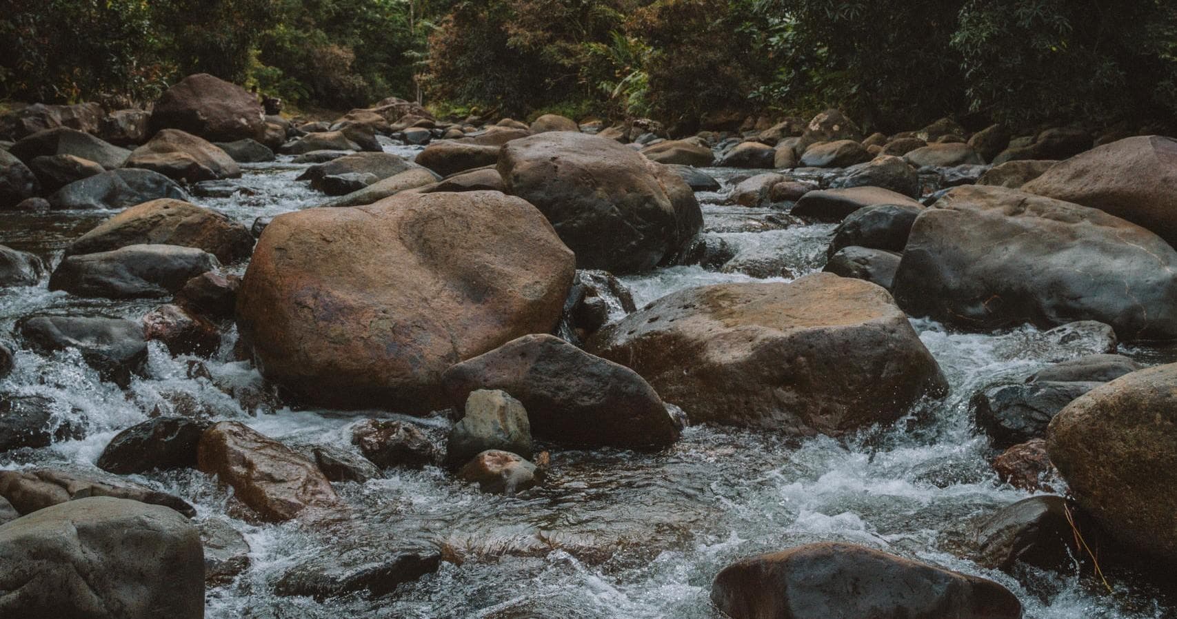 El Yunque Rainforest Tour with CASTILLO TOURS