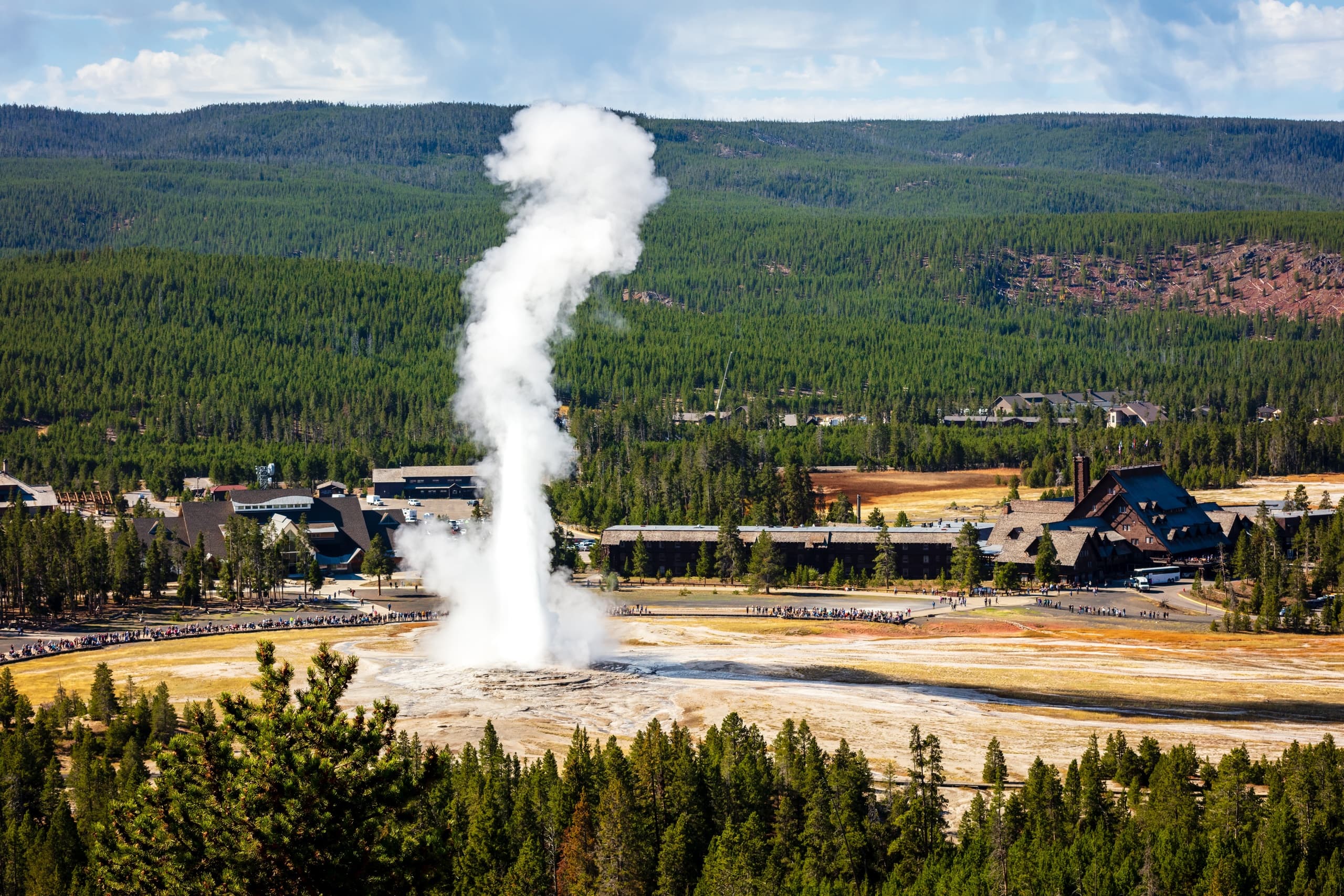 Yellowstone Private Day Tour with Tours In Color