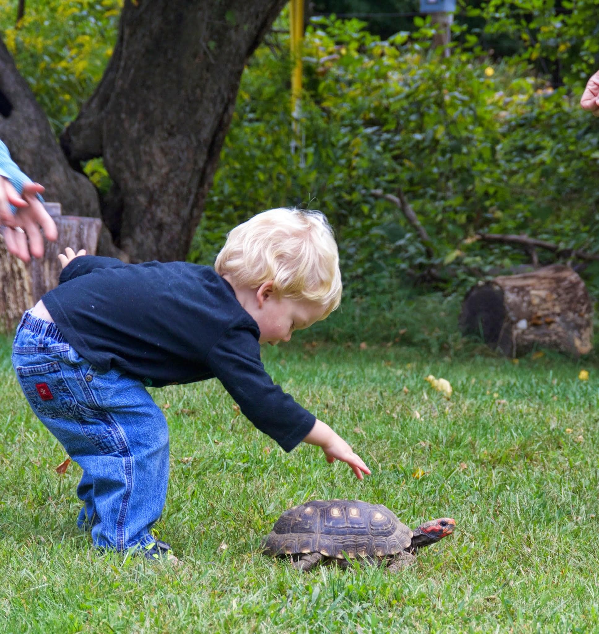 Wildlife & Family Fun at Animal Adventures