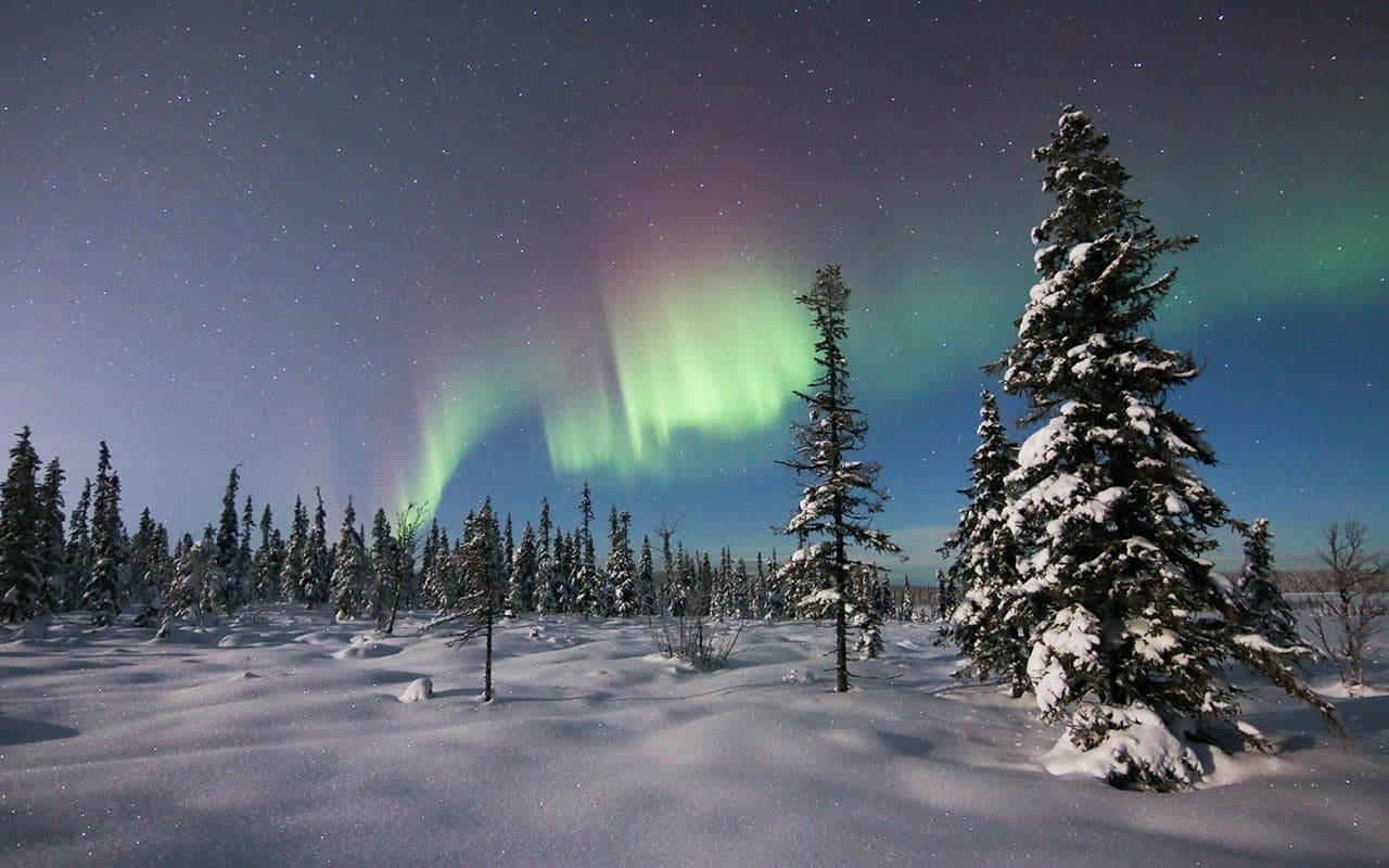 Northern Light Chase by Minivan with Kiruna Guidetur in Lappland