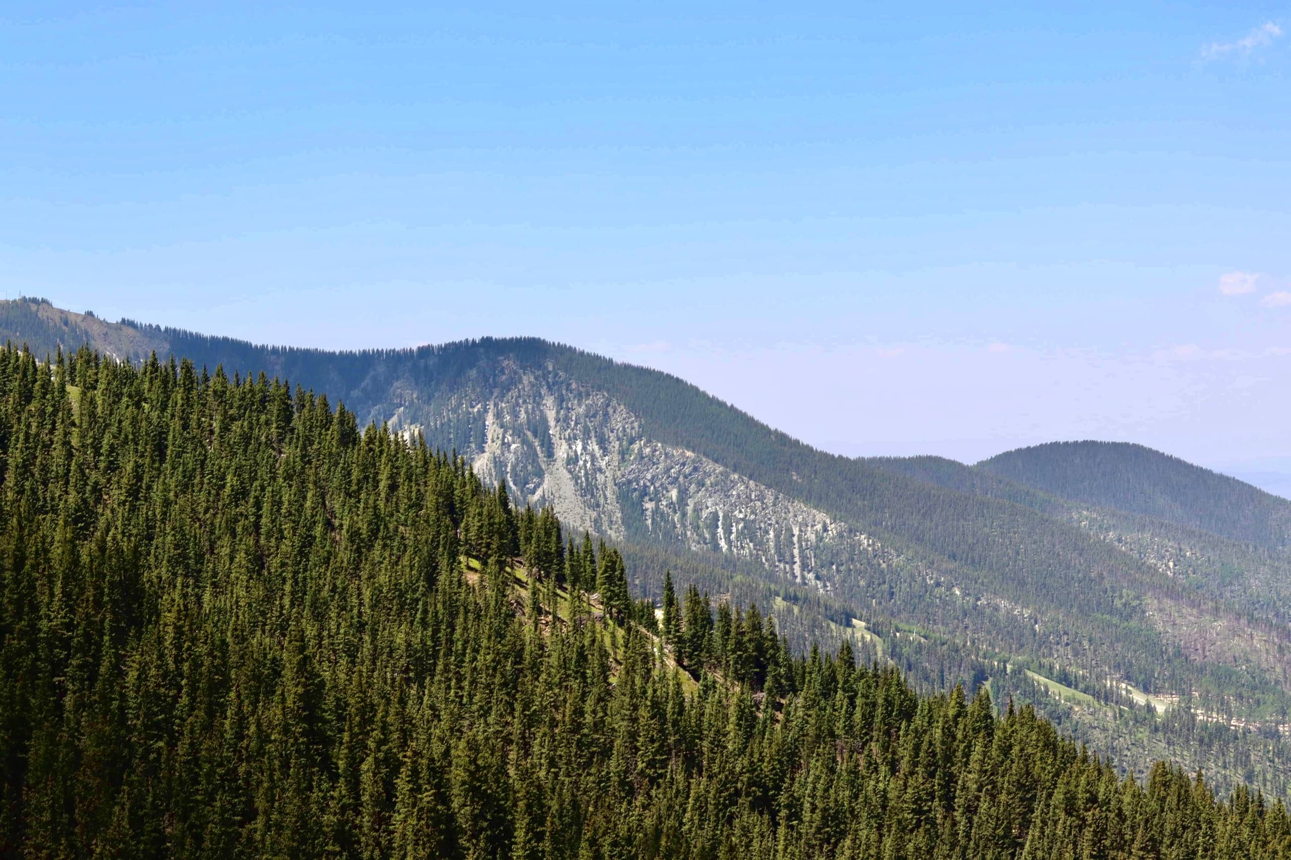 Half-Day Horseback Adventure with Lunch in Taos Ski Valley