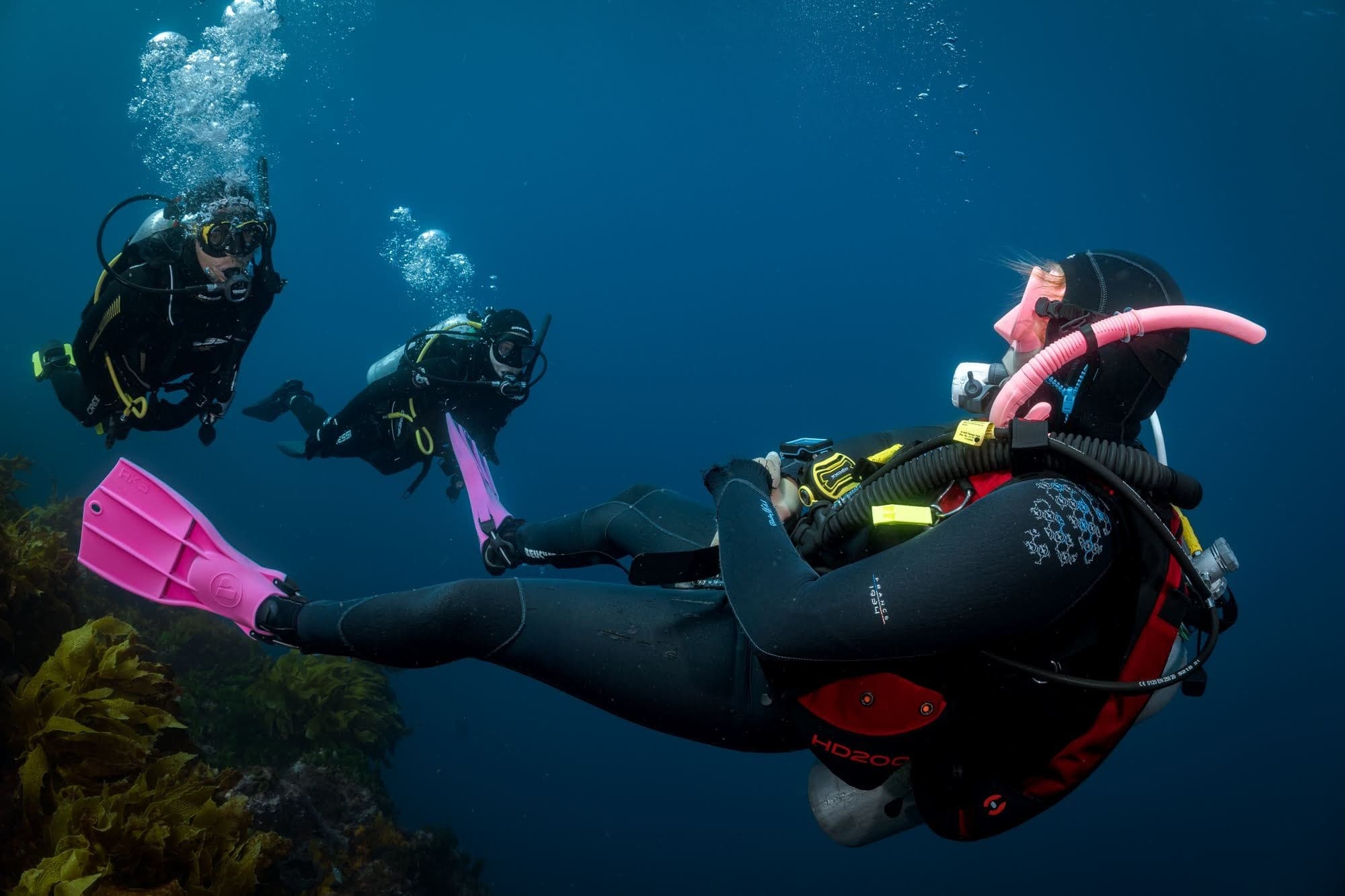 Junior Open Water Course at Poor Knights Islands — PADI Certification for 10–11-Year-Olds photo 4