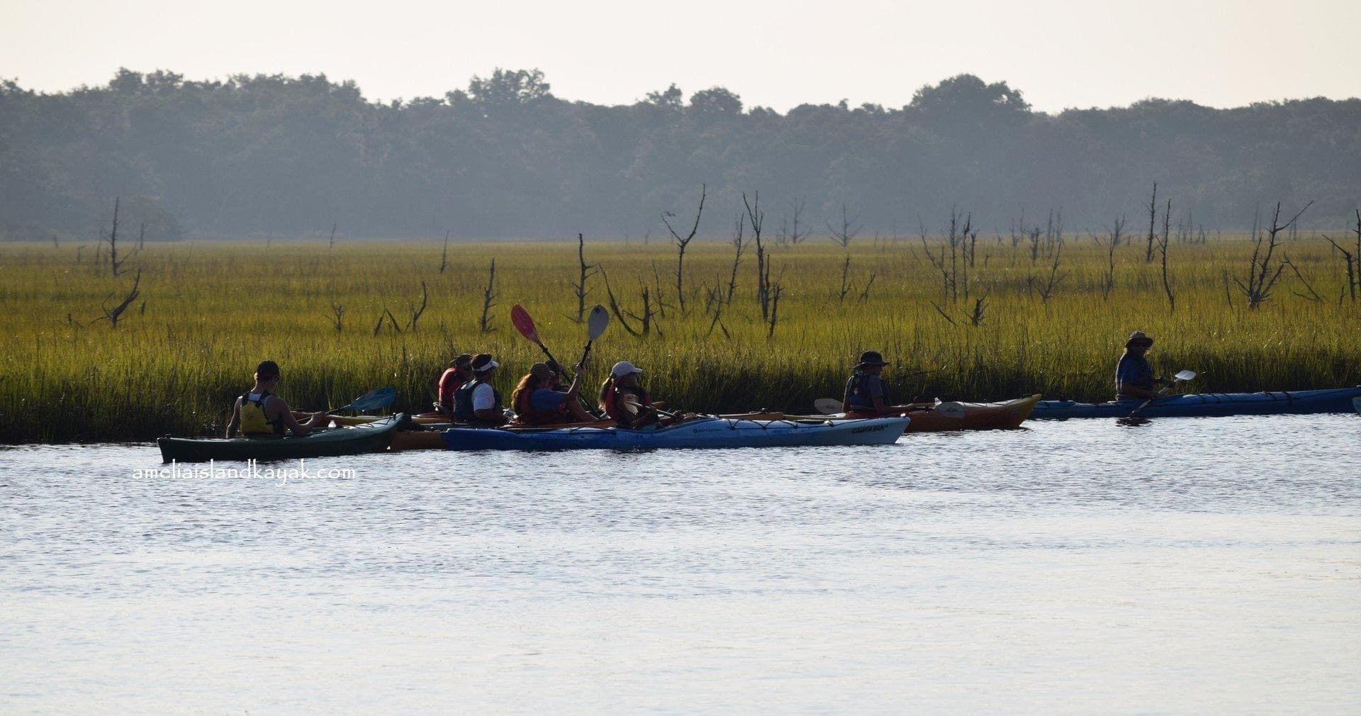 Group of kayakers paddling along serene marshland at dawn