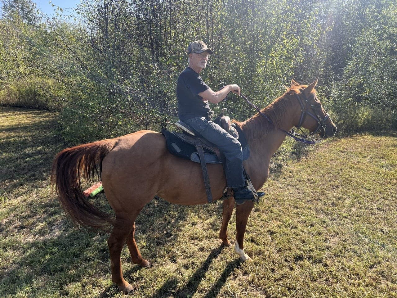 Private One-Hour Trail Rides at Wickham Ranch near Velpen, IN