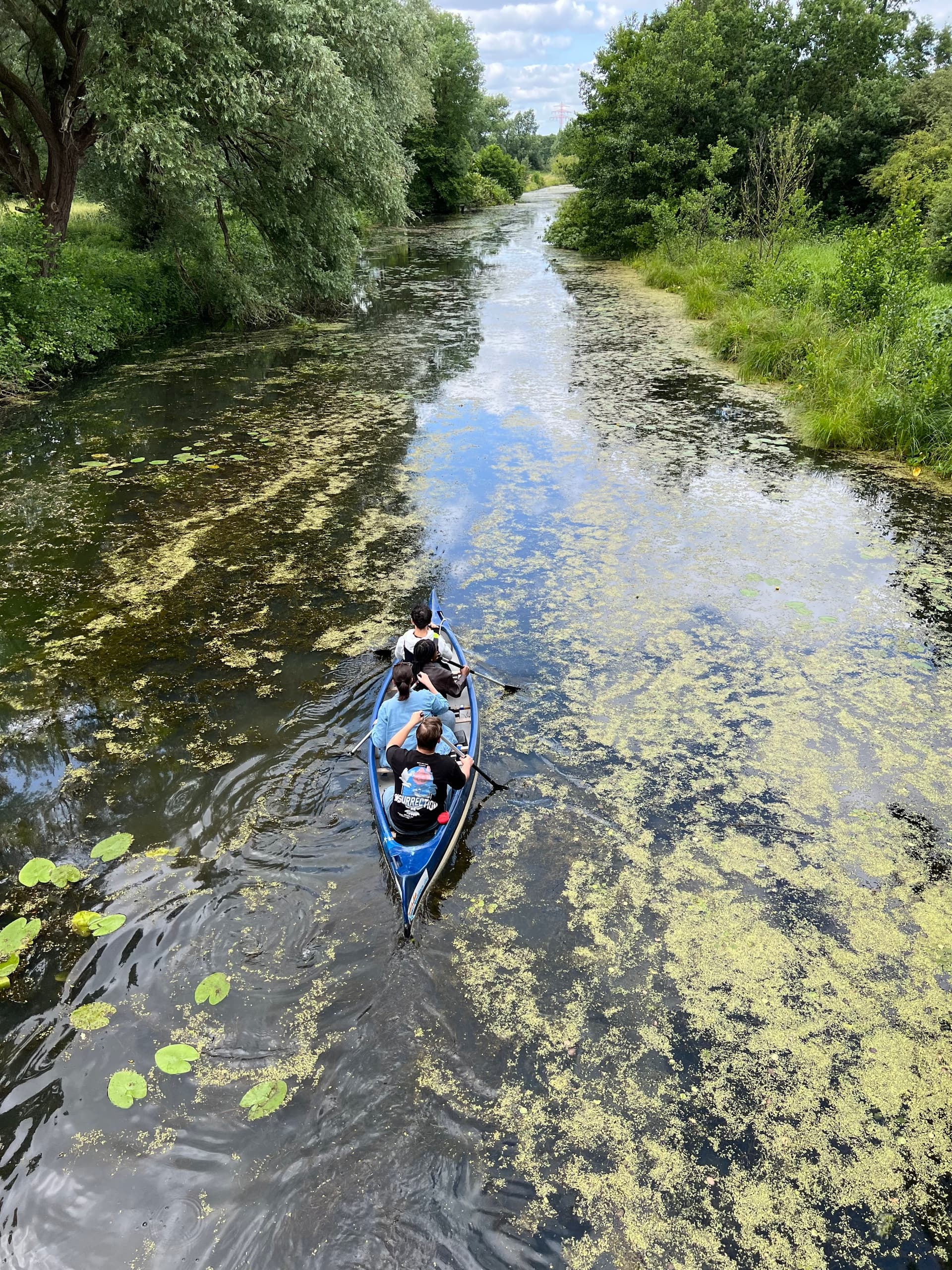 Paddling the Bille: Rothenburgsort to Boberger Dunes Canoe Tour photo 2