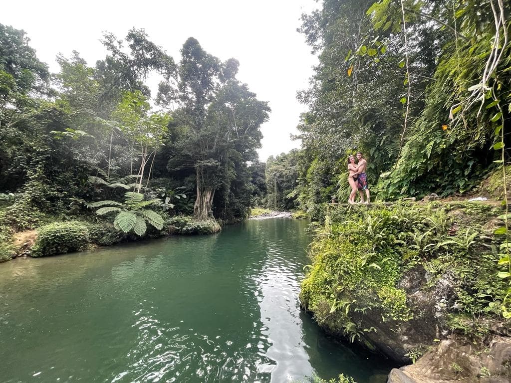 Guided Half-Day Rainforest Adventure with Puerto Rico Tour Desk