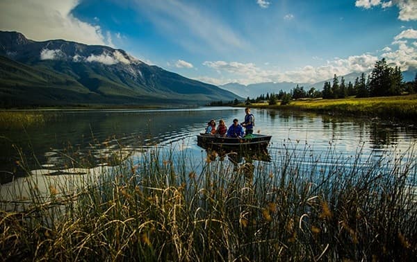 Sight-Fishing Northern Pike on Talbot Lake: Half-Day Guided Trip from Jasper photo 3