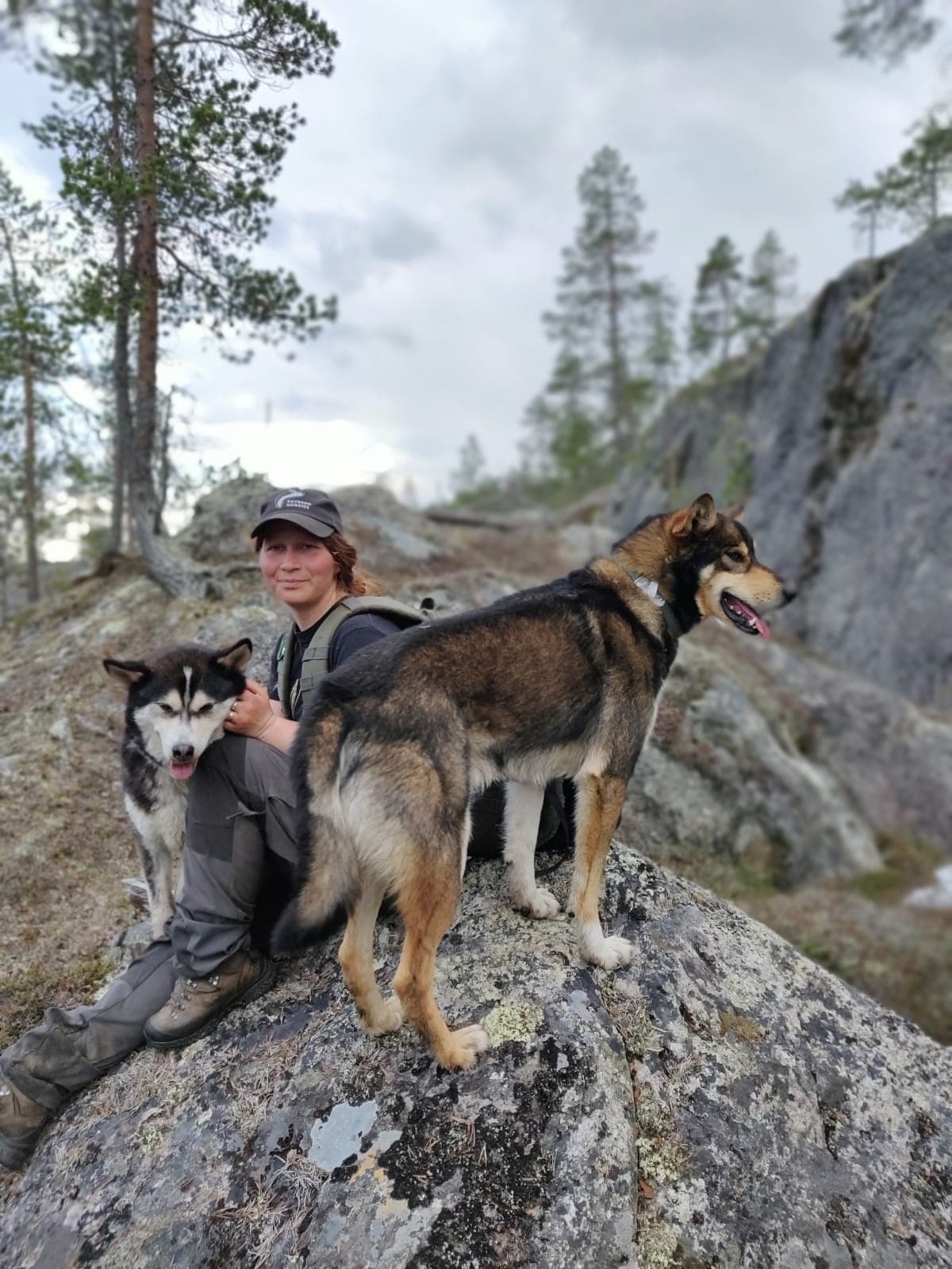 Guide with two huskies on rocky trail in pine mountain terrain